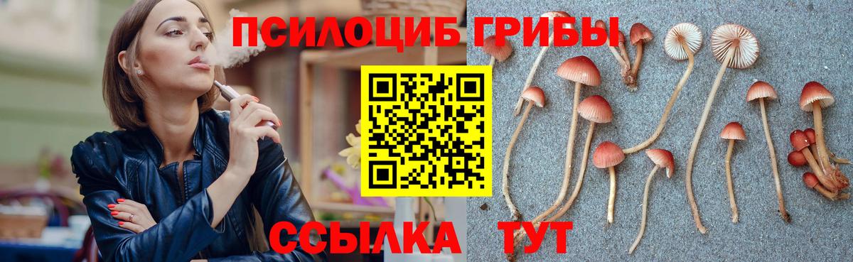 Галлюциногенные грибы прущие грибы  Вход с VPN  Борзя  Псилоцибиновые грибы GOLDEN TEACHER 