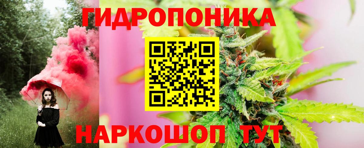 Шишки марихуана AK-47  МАРИХУАНА SATIVA & INDICA  Канабис Bruce Banner  Борзя  Вход с VPN 